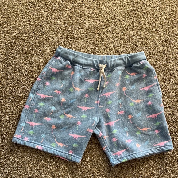 Chubbies Dinosaur Sweat Shorts 